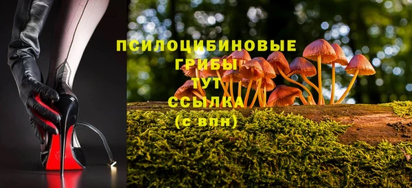 стаф Гусь-Хрустальный
