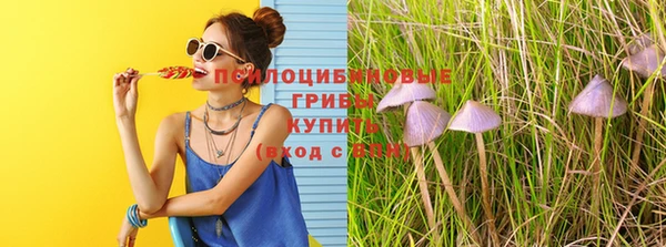 марки nbome Алзамай