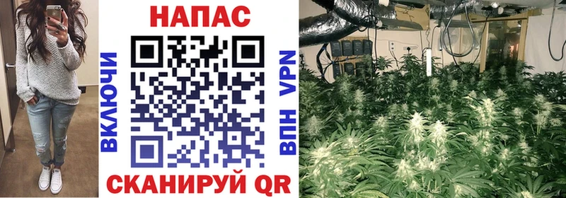 купить наркотик  Чердынь  МАРИХУАНА White Widow 